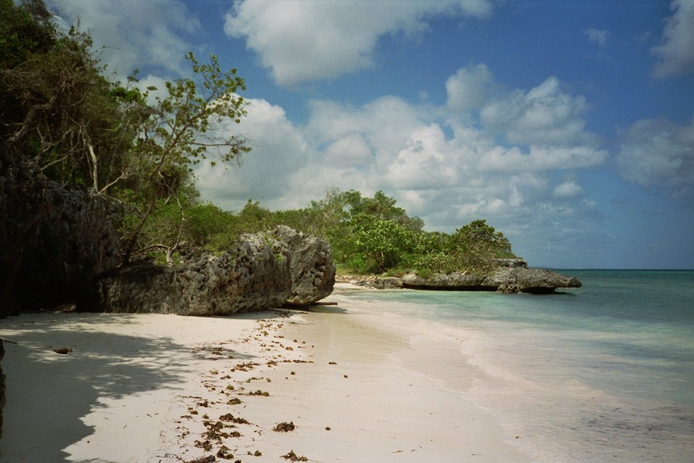 The crocodile - Cuba