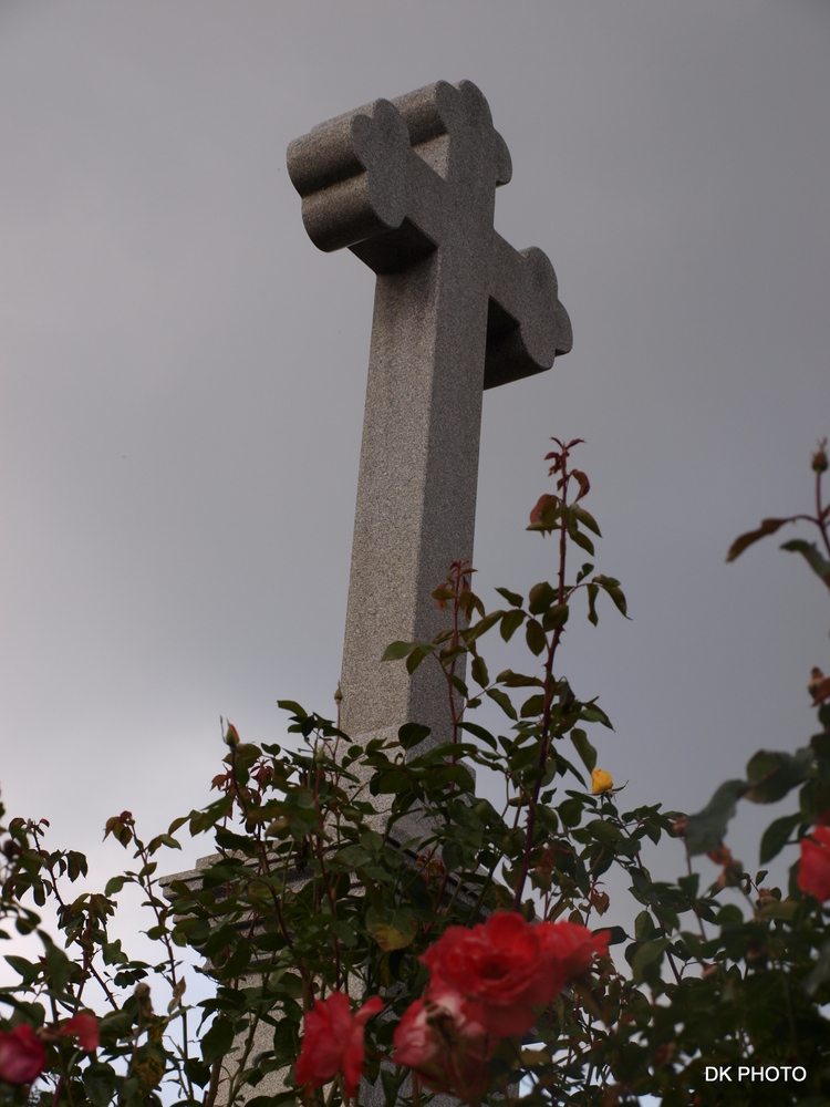 The Cross