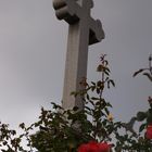 The Cross