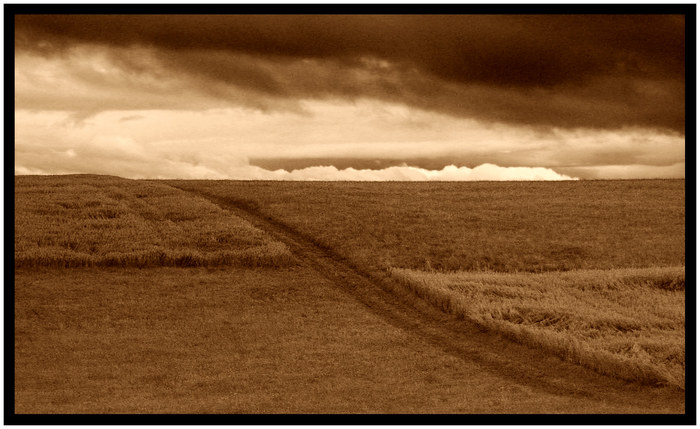 The crossing - Querfeldein