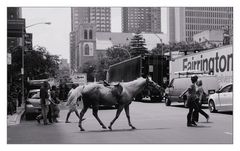 the crosswalk