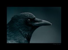 [the crow]