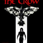 The Crow