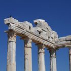 The Crow at the Apollon Temple