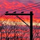 The Crow - From My Window