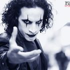 THE CROW - Steven Dasz - 2008