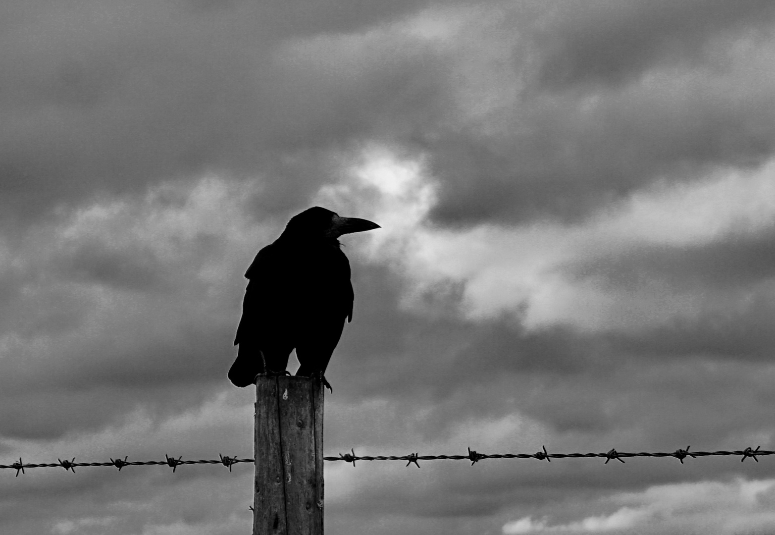 The Crow - The Guardian of the Stones