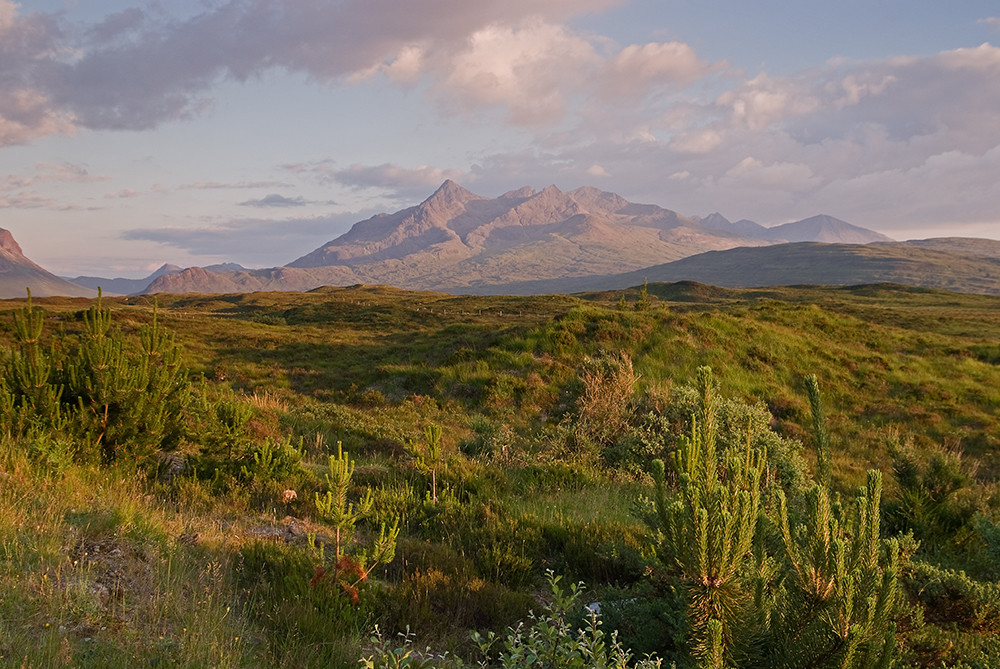 +++ The Cuillins +++