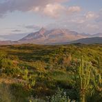 +++ The Cuillins +++