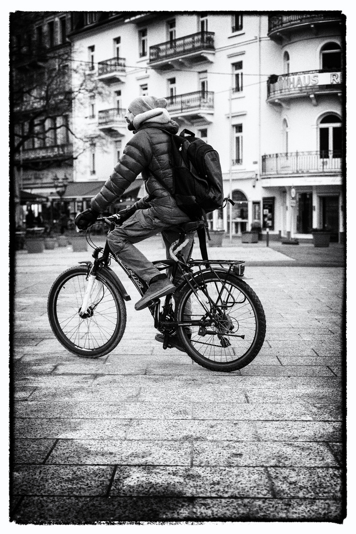 the cyclist