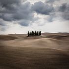 The cypresses of Tuscany, in a magical context