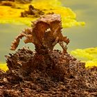 The Dallol Alien