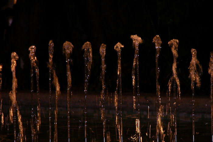 THE DANCE OF THE GLASS NAJAS