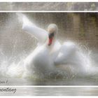 The dance of the swan