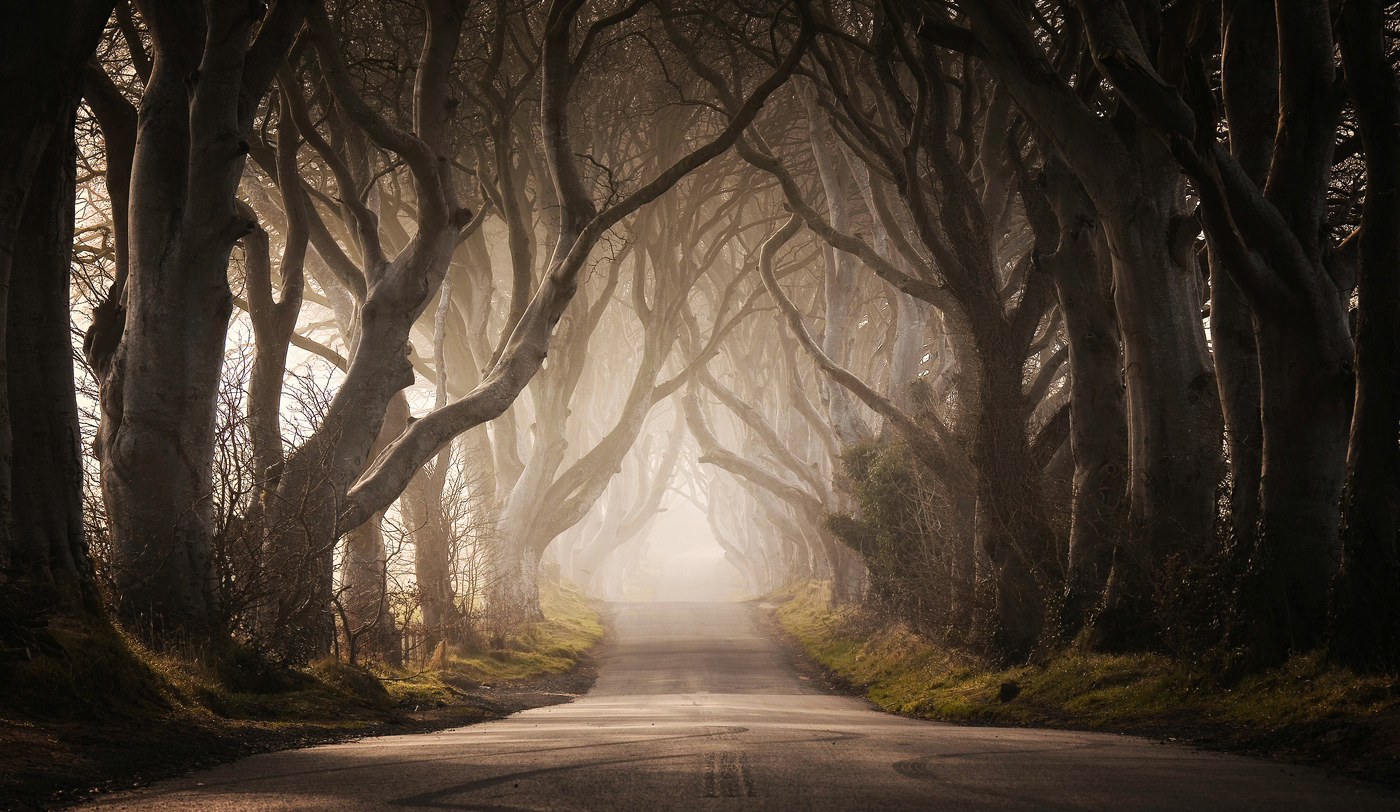 The Dark Hedges