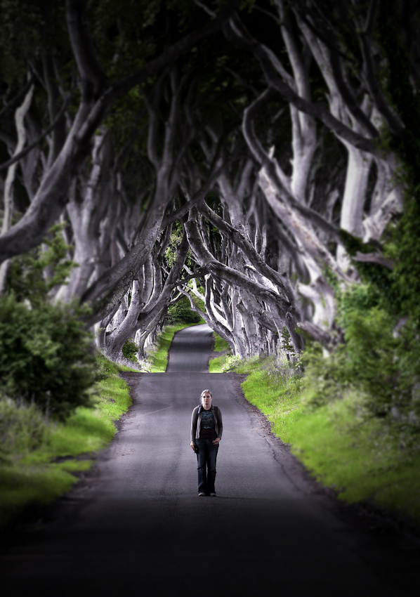 The Dark Hedges