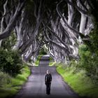 The Dark Hedges