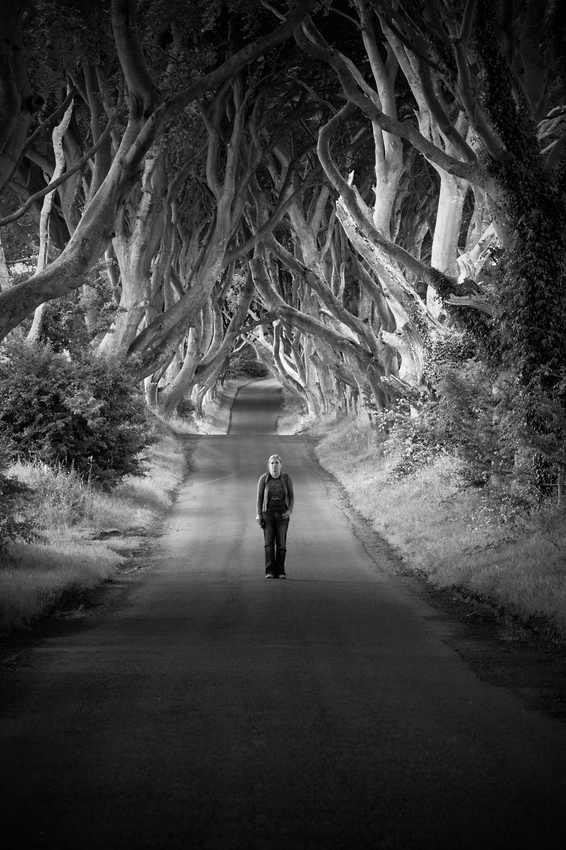 The Dark Hedges