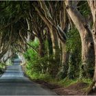 The Dark Hedges