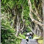 The Dark Hedges