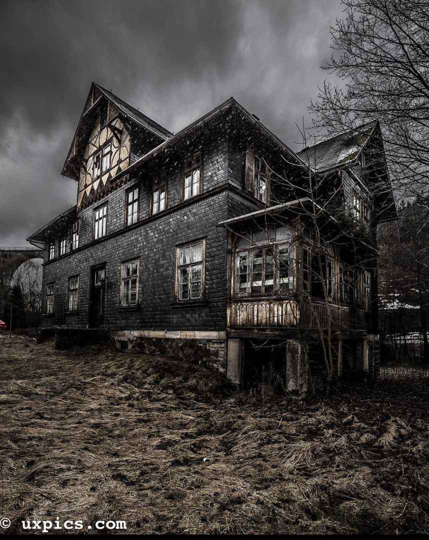 The dark house 