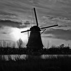 THE DARK MILL