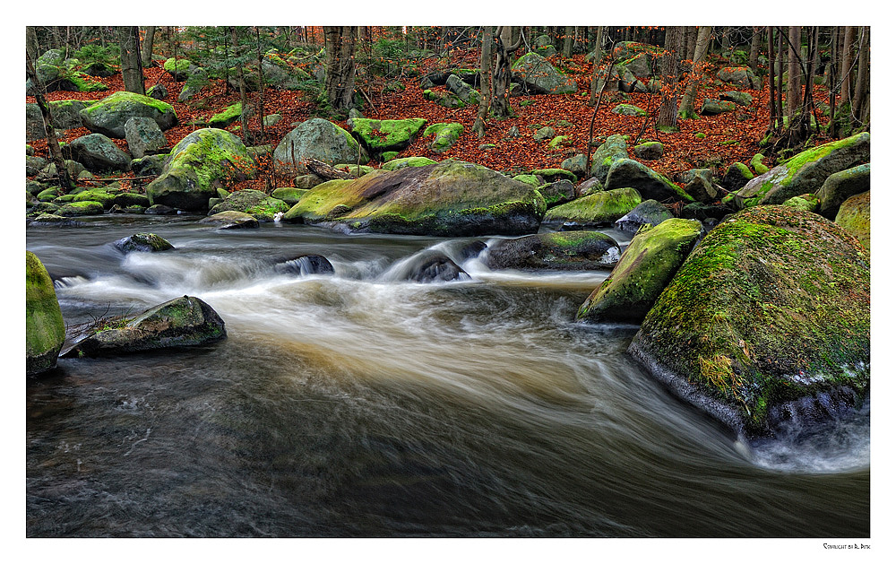 ~~~ The Dark River ~~~