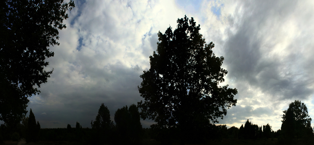 The dark side of Lüneburger Heide