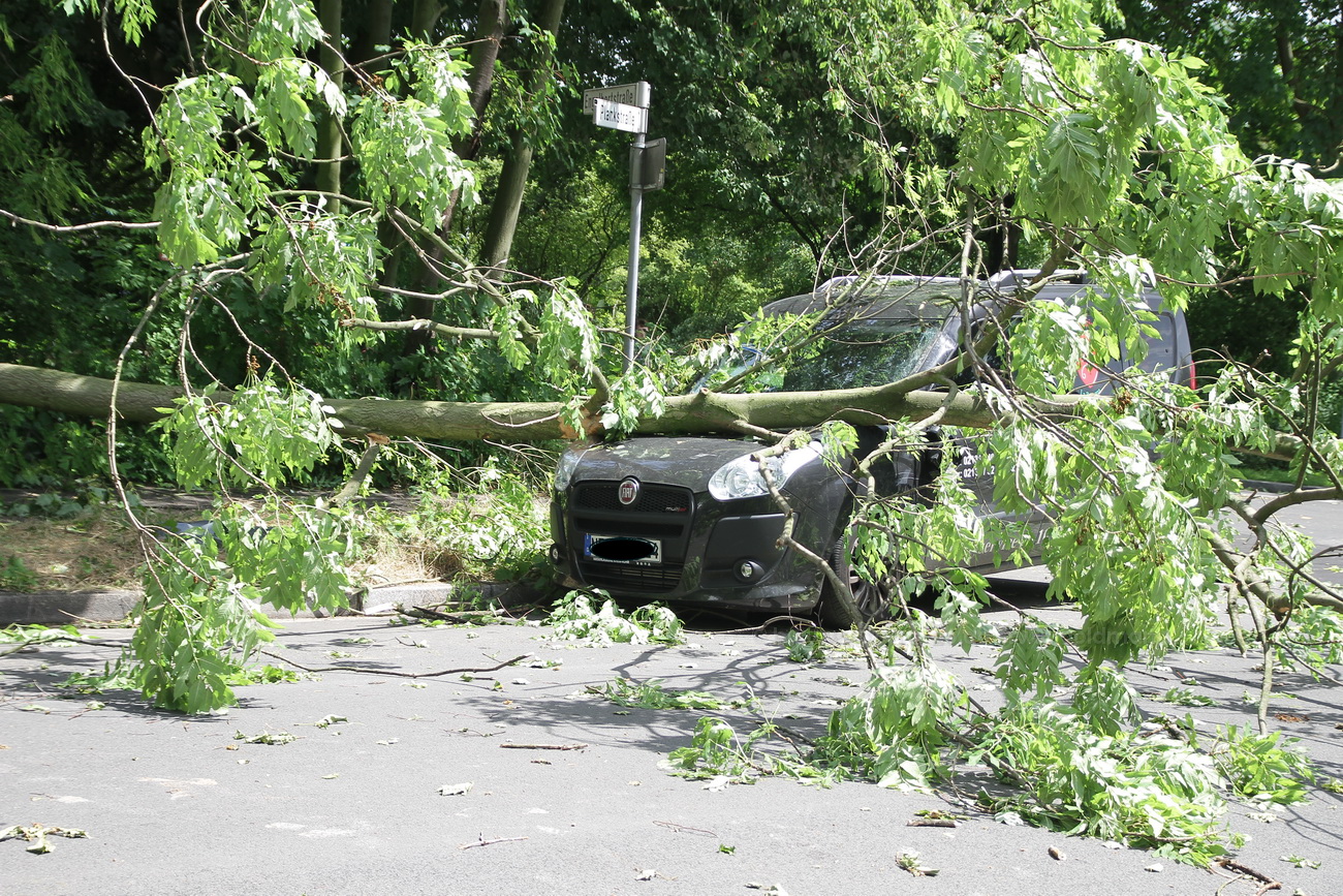 the day after - 1 Tag nach dem heftigen Gewitter an Pfingsten #2