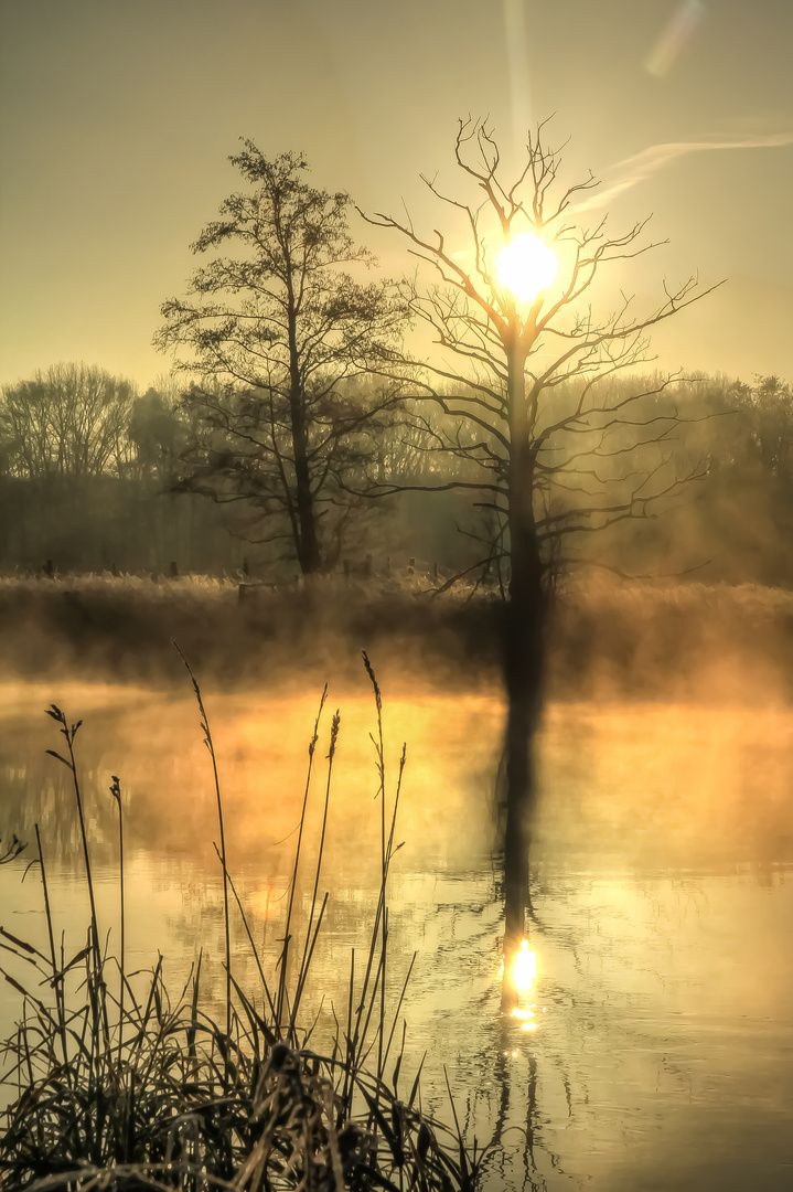 The day after... Foto & Bild | landschaft, bach, fluss & see, flüsse ...