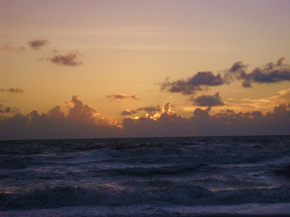 The Day After Hurricane Fay