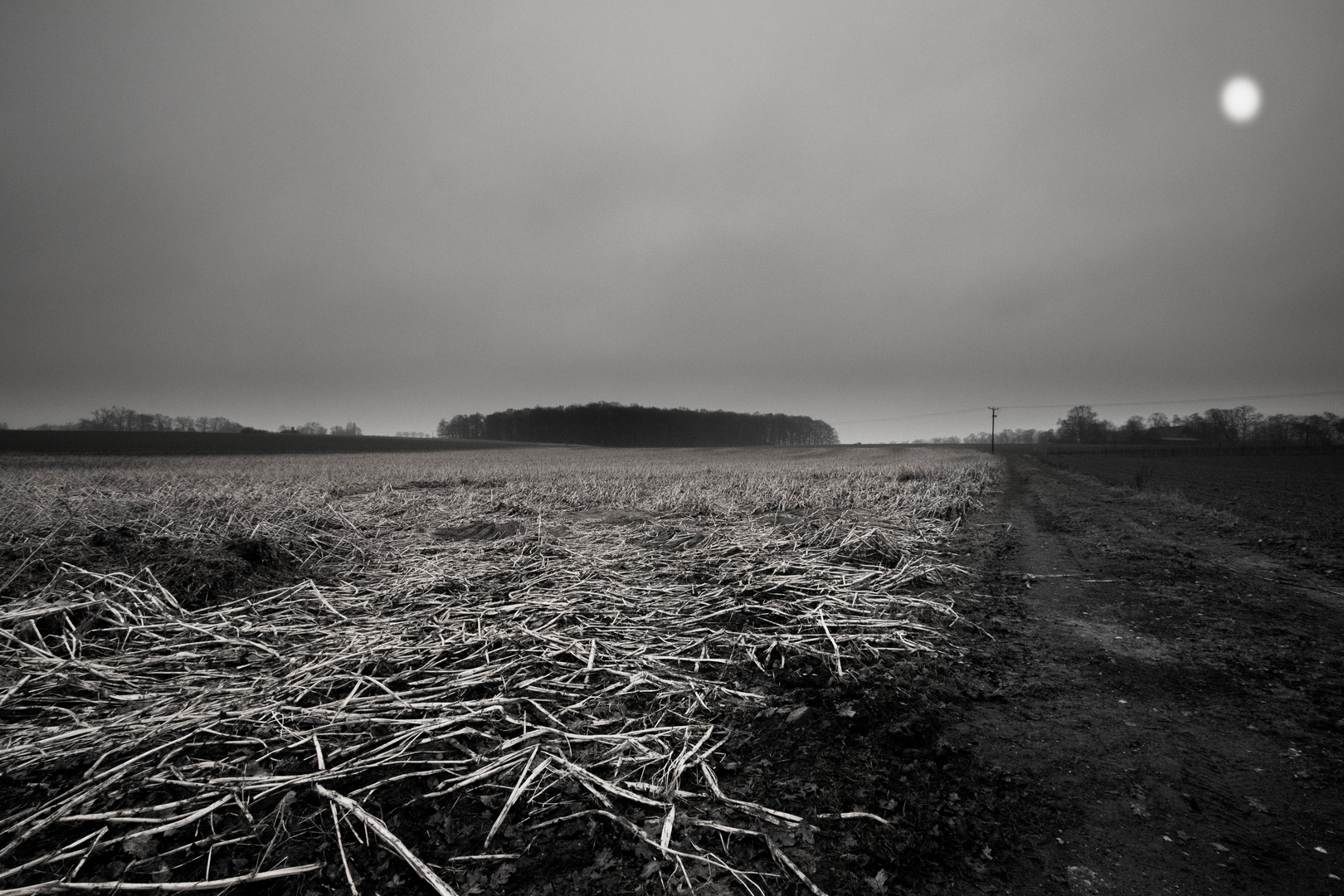 the day after oder winter in munsterland