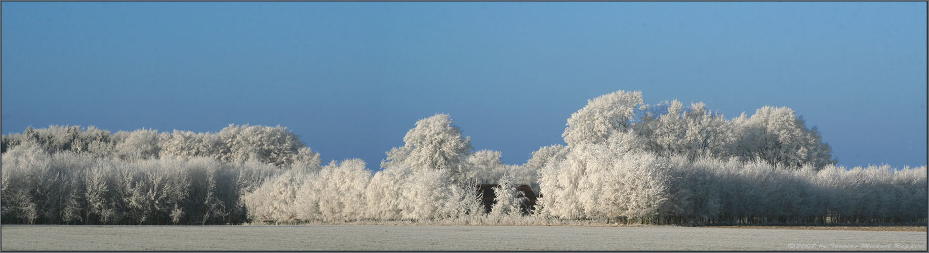 ** the day after tomorrow... bei mir ja **