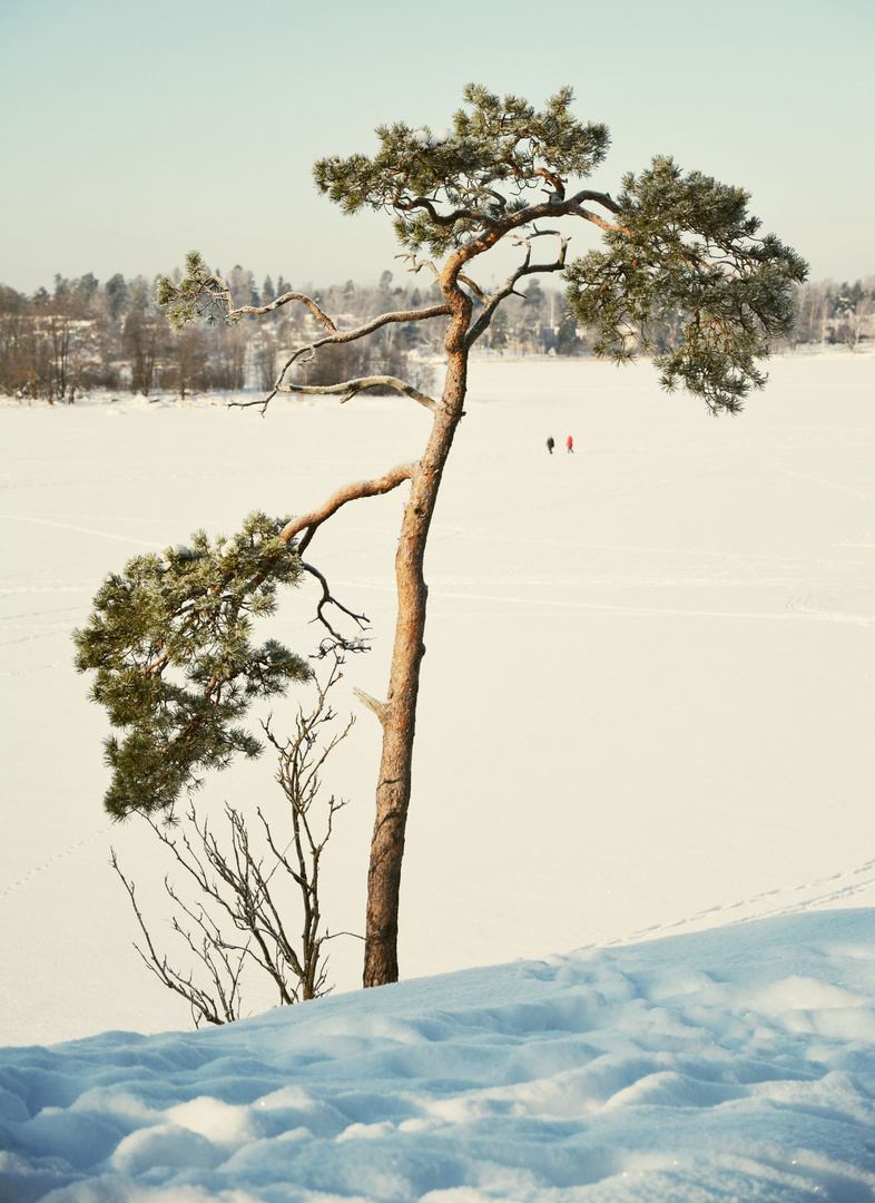 The day-of on ice