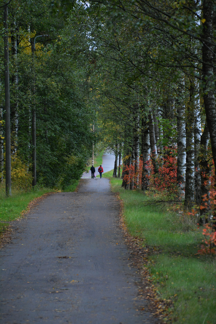 The dayly walking