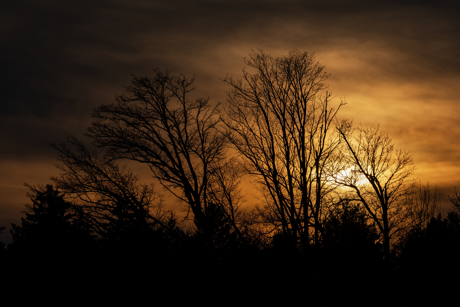 The day's final sunbeams