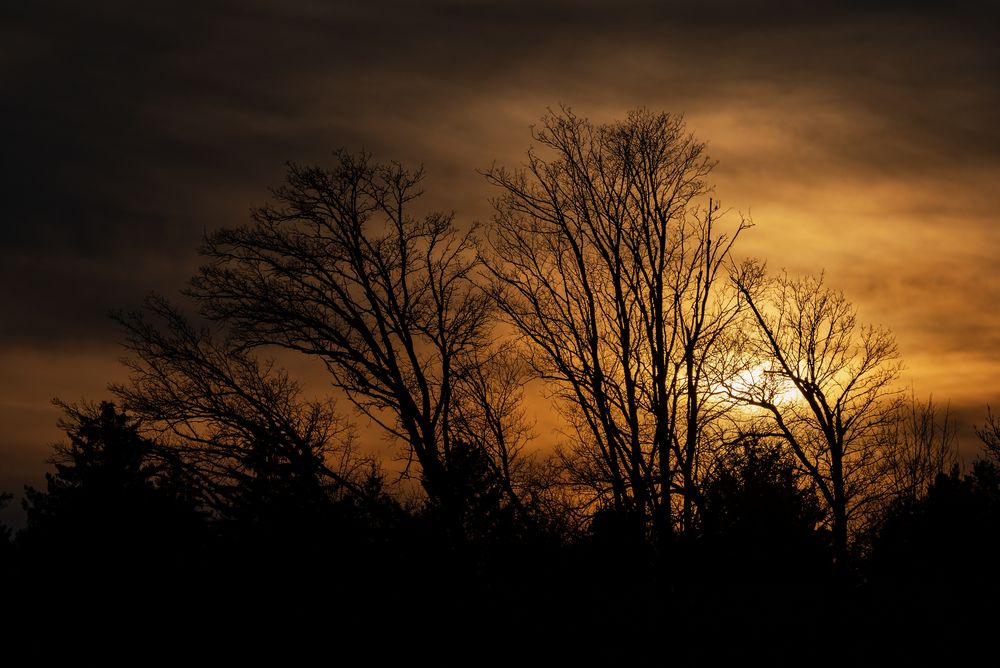 The day's final sunbeams