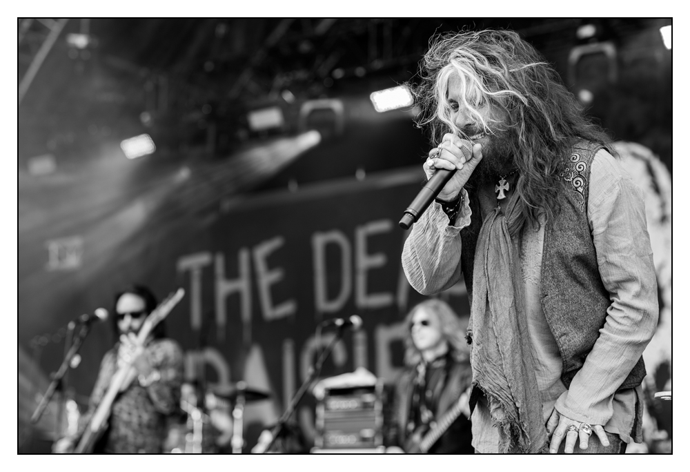 The Dead Daisies