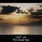 The Dead Sea