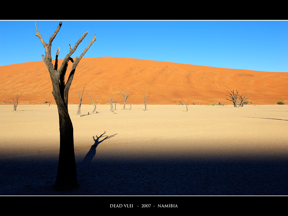 The Dead Vlei