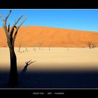 The Dead Vlei