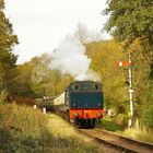 The Dean Forest Railway