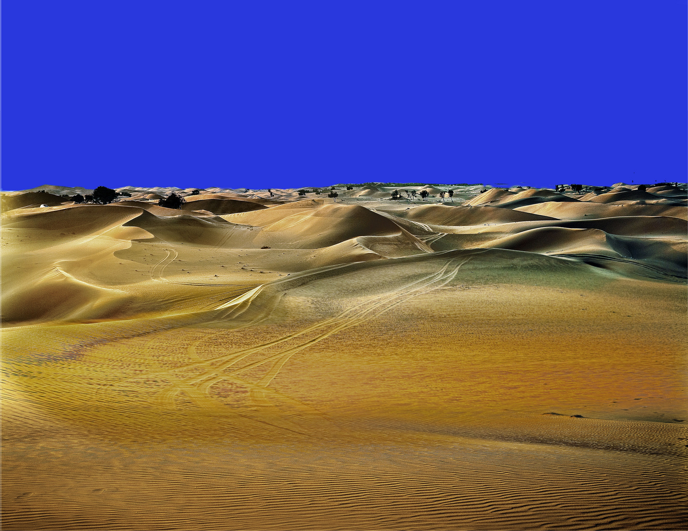 The  Desert  2