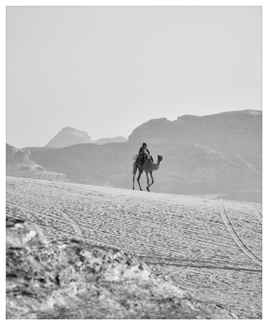 the desert and the camel driver