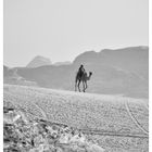 the desert and the camel driver