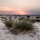 The desert meets the sea..