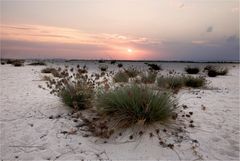 The desert meets the sea..