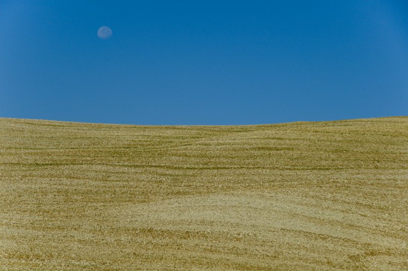 The desert of Val d'Orcia