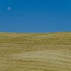 The desert of Val d'Orcia