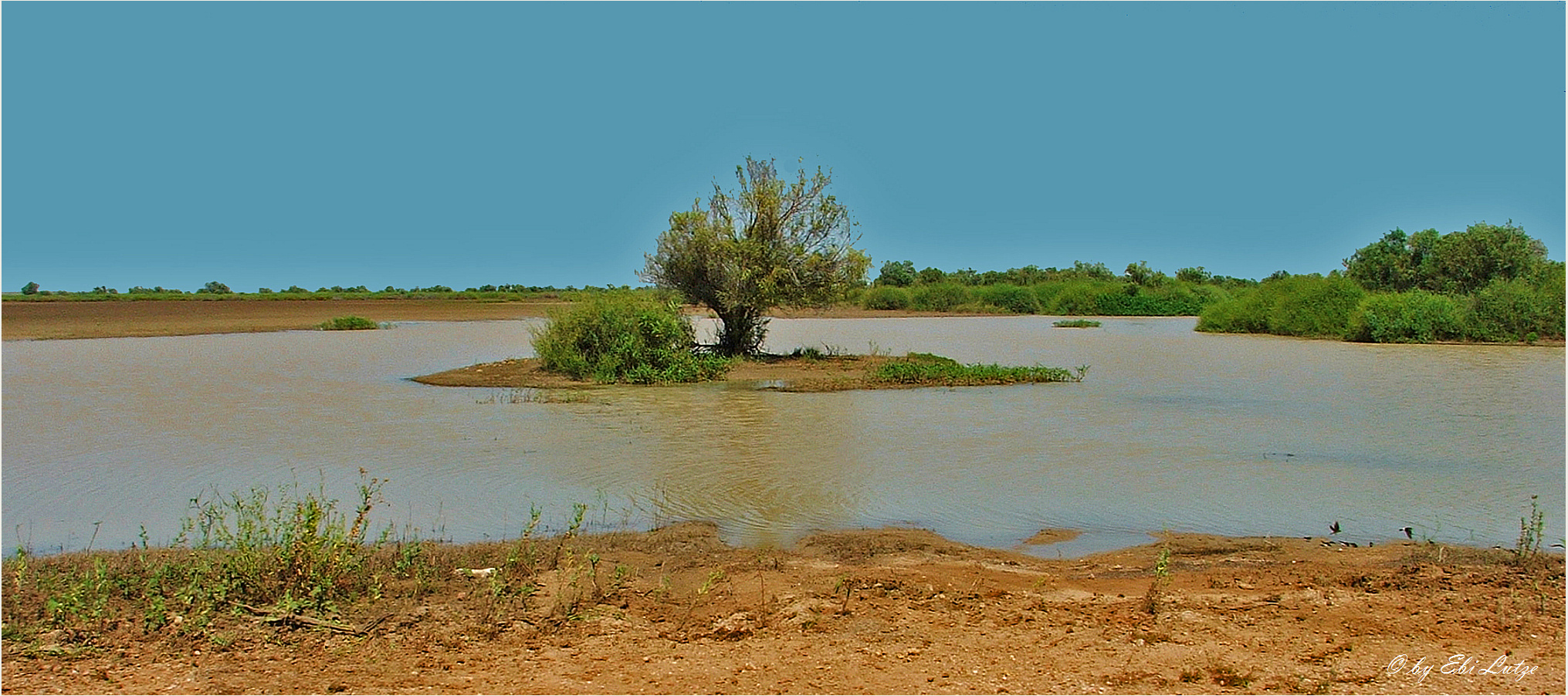 ** The Diamantina  River / Channel Country Qld. **